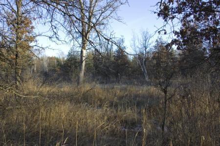 central wisconsin land for sale 