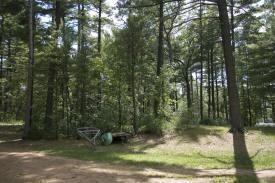 wooded property on Lake Petenwell