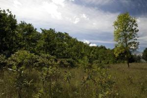 land for sale in Central Wisconsin