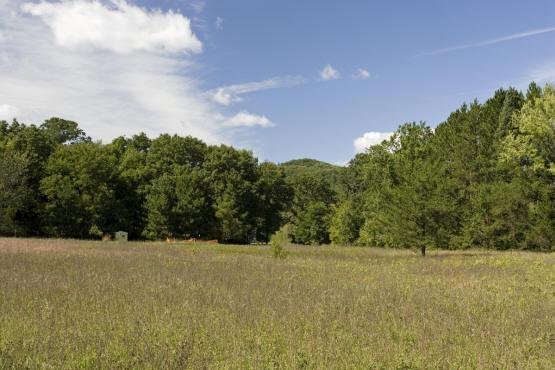 property zoned for multi-family