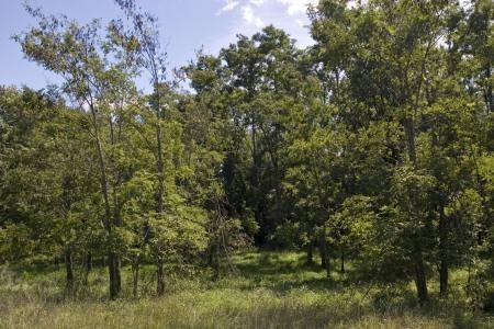 property for sale in Adams County Central Wisconsin