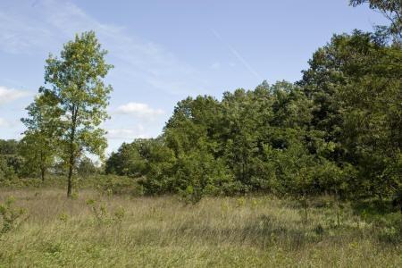 have a great view of friendship mound for your backyard