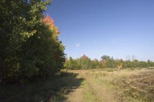 acreage with a new private pond, well and electric - coming soon