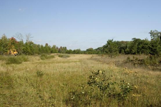 5 Wooded Lots Near Castle Rock Lake
