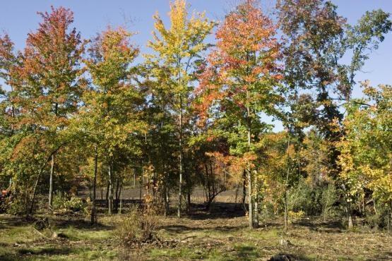 central wisconsin pond real estate