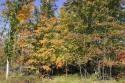 acreage for sale with a new private pond