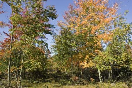 acreage for sale in Adams County