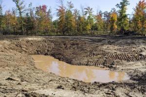 25 Acres Of Wooded Land With A Pond In Central Wisconsin