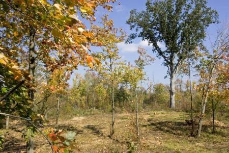 land in adams county