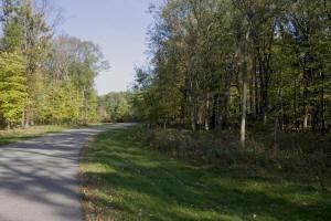 Petenwell landing deeded access lot
