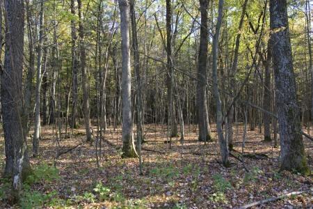close to public land, snowmobile trails and ATV routes