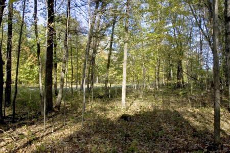 property for sale in Petenwell Landing