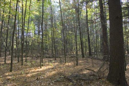 center Wisconsin real estate deeded Lake access for sale