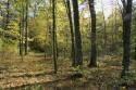 acreage for sale at deeded  Lake access to Petenwell
