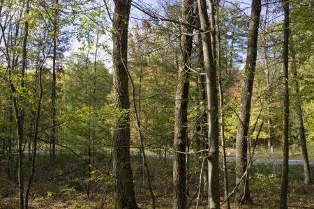 close to public and ATV and snowmobile routes