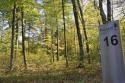 people landing deeded access lot
