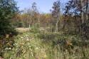 cabin site in central WI.