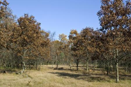 property on the Adams County snowmobile trails system