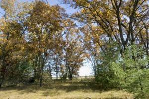 wooded property for sale, WI.