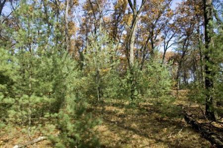 land in Easton Township, Adams County