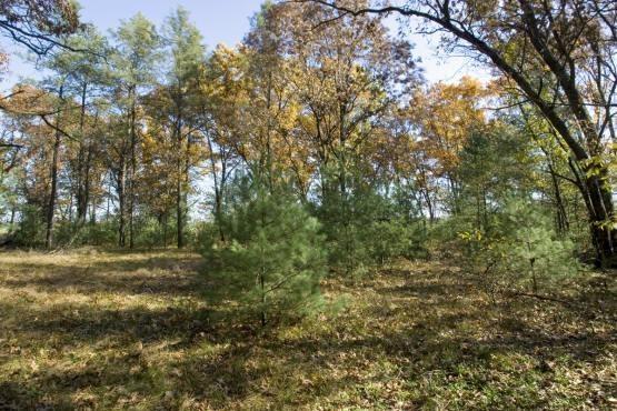 property near Castle Rock Lake and Petenwell flowage