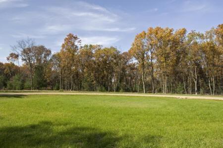 Wisconsin wooded land for sale in Adams County