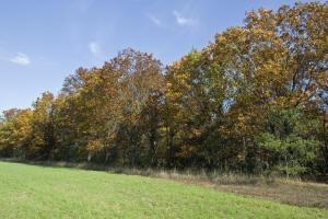 Property for sale in the Wisconsin Dells Area