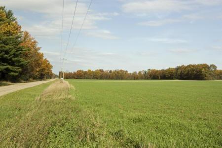 Farmette in the Heart of Adams County