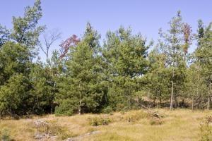 waterfront property for sale the Wisconsin Dells area