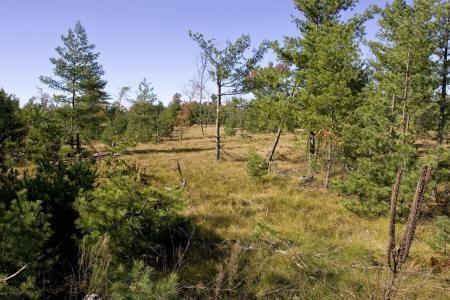 water frontage on risk Creek, wi