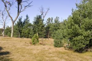 land for sale in Wisconsin Dells area