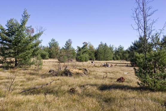 Wisconsin Lakefront property for sale