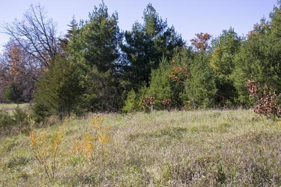 Wisconsin Lakefront real estate for sale