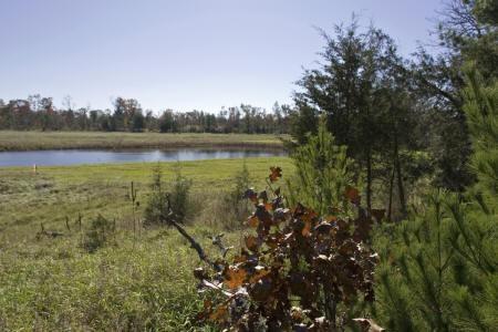 lakefront lot with paved road frontage