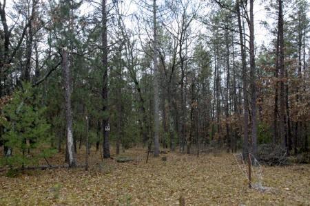 This Property is Being Sold AS IS!