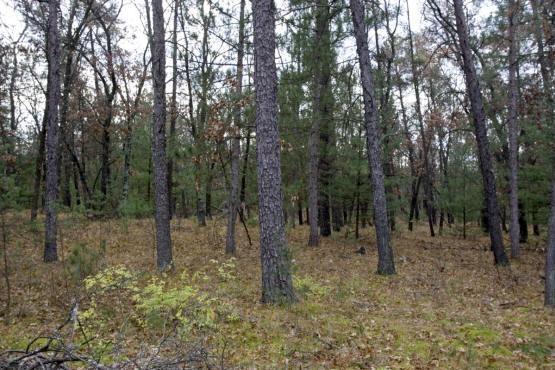 Enjoy ATVing, Snowmobiling, Fishing and More