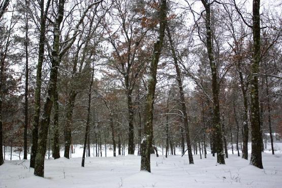 Full or Part Time Home with Deeded Lake Access