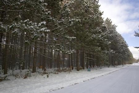 land for sale in Preston Township of Adams County Wisconsin