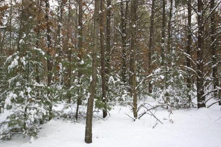 central Wisconsin building site for sale