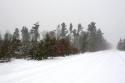 central wisconsin land for sale near public land