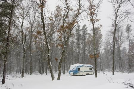 land for sale adjoining public land