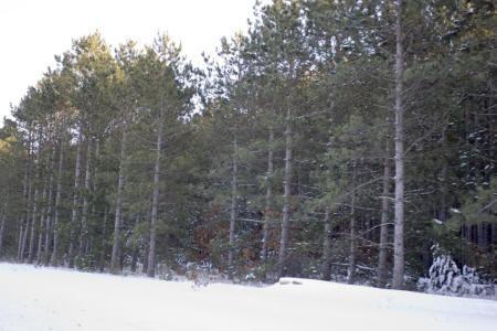 vacation land near lake petenwell