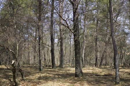 4.5 Acres Near Wisconsin Dells