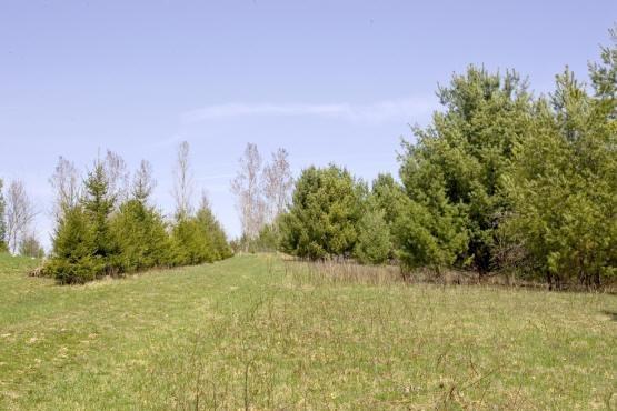 affordable waterfront in Central Wisconsin