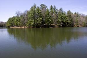 Waterfront Parcel On Alpine Hills Lake