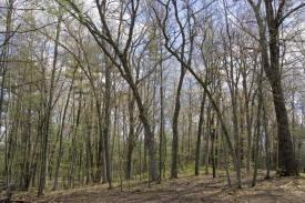 centrally located near castle rock lake