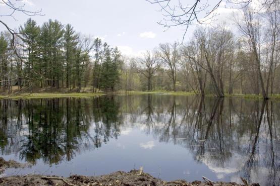 central wisconsin land including 3 ponds & trails