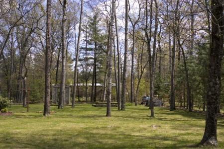 1.5 Acres landscaped w/ perineals