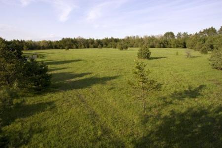 near leola marsh wildlife area