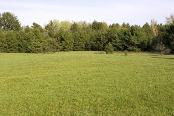 central wisconsin land near big roche a cri creek